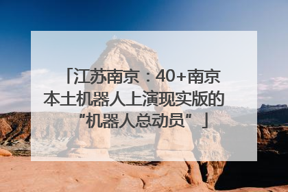 江苏南京：40+南京本土机器人上演现实版的“机器人总动员”