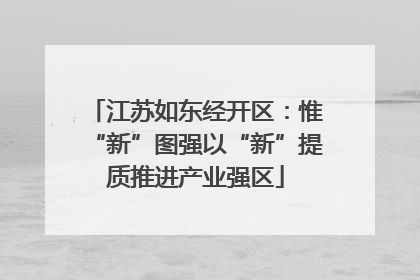 江苏如东经开区：惟“新”图强以“新”提质推进产业强区