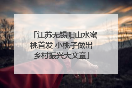 江苏无锡阳山水蜜桃首发 小桃子做出乡村振兴大文章