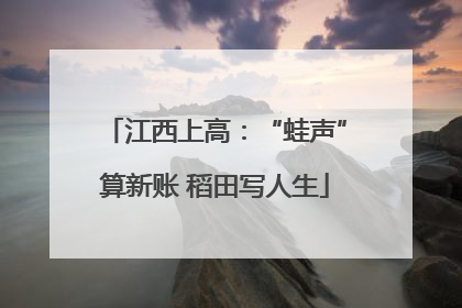 江西上高：“蛙声”算新账 稻田写人生
