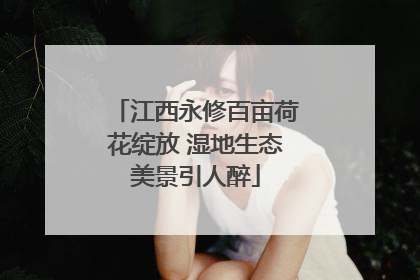 江西永修百亩荷花绽放 湿地生态美景引人醉