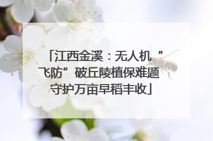 江西金溪：无人机“飞防”破丘陵植保难题 守护万亩早稻丰收