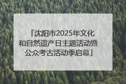 沈阳市2025年文化和自然遗产日主题活动暨公众考古活动季启幕