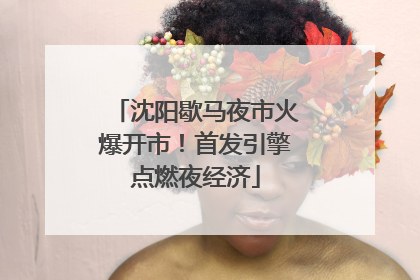 沈阳歇马夜市火爆开市！首发引擎点燃夜经济