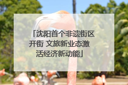 沈阳首个非遗街区开街 文旅新业态激活经济新动能