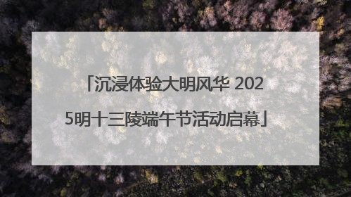 沉浸体验大明风华 2025明十三陵端午节活动启幕