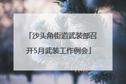 沙头角街道武装部召开5月武装工作例会