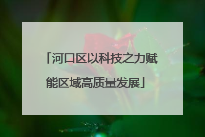 河口区以科技之力赋能区域高质量发展