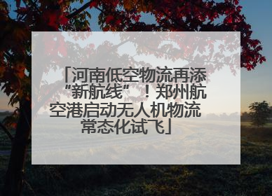 河南低空物流再添“新航线”！郑州航空港启动无人机物流常态化试飞