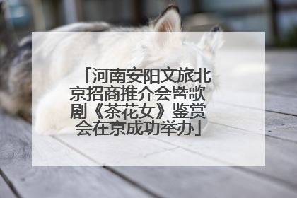 河南安阳文旅北京招商推介会暨歌剧《茶花女》鉴赏会在京成功举办