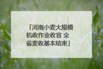 河南小麦大规模机收作业收官 全省麦收基本结束