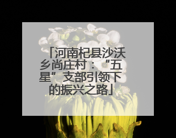 河南杞县沙沃乡尚庄村：“五星”支部引领下的振兴之路