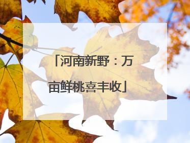 河南新野：万亩鲜桃喜丰收