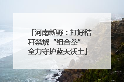 河南新野：打好秸秆禁烧“组合拳” 全力守护蓝天沃土