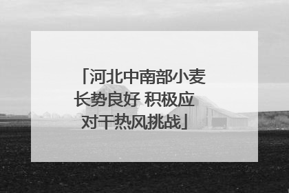 河北中南部小麦长势良好 积极应对干热风挑战