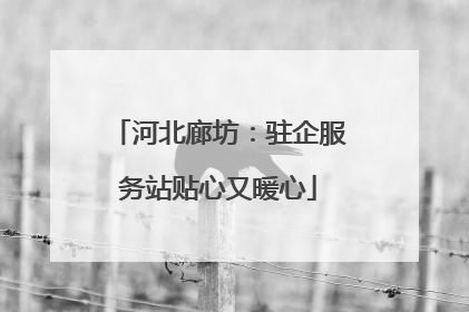 河北廊坊：驻企服务站贴心又暖心
