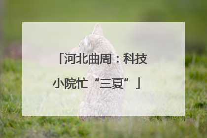 河北曲周：科技小院忙“三夏”