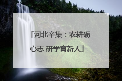 河北辛集：农耕砺心志 研学育新人