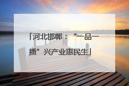 河北邯郸：“一品一播”兴产业惠民生
