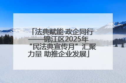 法典赋能·政企同行——锦江区2025年“民法典宣传月”汇聚力量 助推企业发展