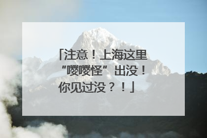 注意！上海这里“嘤嘤怪”出没！你见过没？！