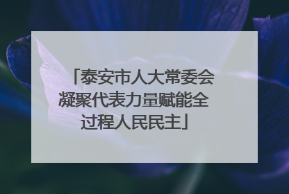 泰安市人大常委会凝聚代表力量赋能全过程人民民主