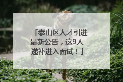 泰山区人才引进最新公告，这9人递补进入面试！