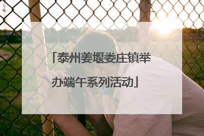 泰州姜堰娄庄镇举办端午系列活动