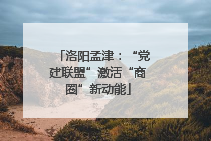 洛阳孟津：“党建联盟”激活“商圈”新动能
