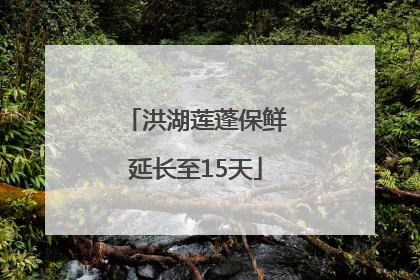 洪湖莲蓬保鲜延长至15天