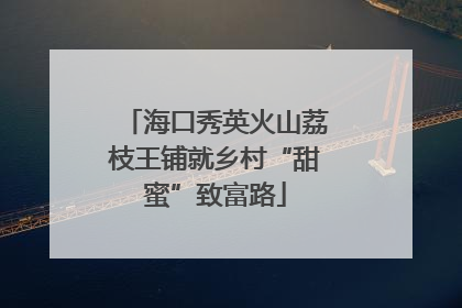 海口秀英火山荔枝王铺就乡村“甜蜜”致富路