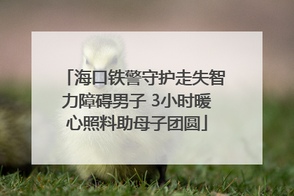 海口铁警守护走失智力障碍男子 3小时暖心照料助母子团圆