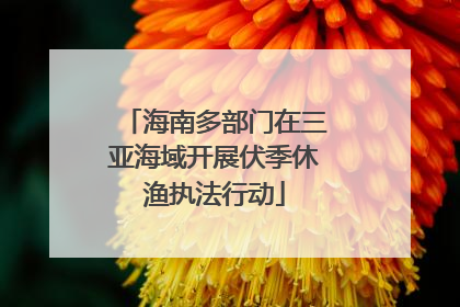 海南多部门在三亚海域开展伏季休渔执法行动
