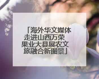 海外华文媒体走进山西万荣 果业大县展农文旅融合新图景