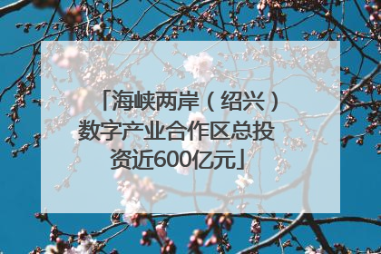 海峡两岸（绍兴）数字产业合作区总投资近600亿元