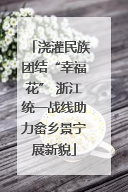 浇灌民族团结“幸福花” 浙江统一战线助力畲乡景宁展新貌