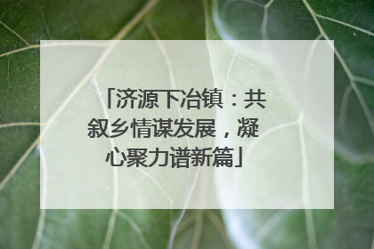 济源下冶镇：共叙乡情谋发展，凝心聚力谱新篇