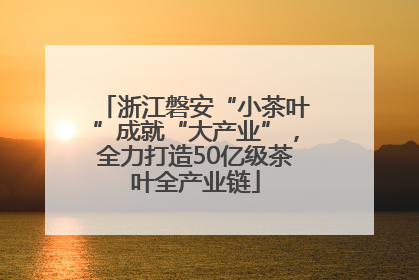 浙江磐安“小茶叶”成就“大产业”，全力打造50亿级茶叶全产业链