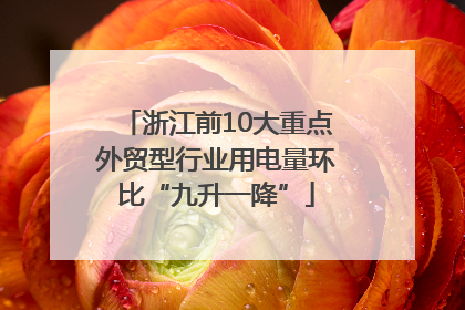 浙江前10大重点外贸型行业用电量环比“九升一降”