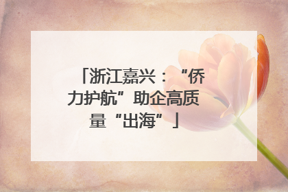 浙江嘉兴：“侨力护航”助企高质量“出海”