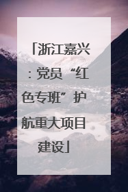 浙江嘉兴：党员“红色专班”护航重大项目建设