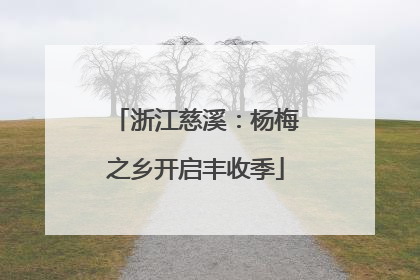 浙江慈溪：杨梅之乡开启丰收季