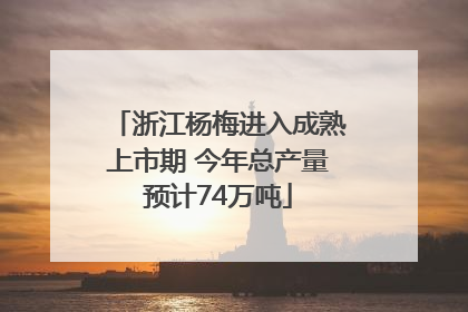 浙江杨梅进入成熟上市期 今年总产量预计74万吨
