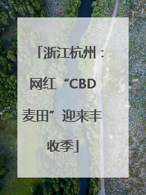 浙江杭州：网红“CBD麦田”迎来丰收季