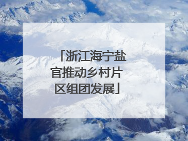 浙江海宁盐官推动乡村片区组团发展