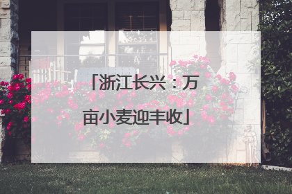 浙江长兴：万亩小麦迎丰收