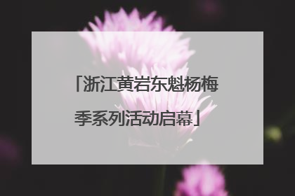 浙江黄岩东魁杨梅季系列活动启幕