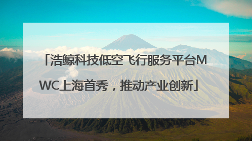 浩鲸科技低空飞行服务平台MWC上海首秀，推动产业创新