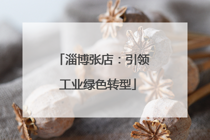 淄博张店：引领工业绿色转型