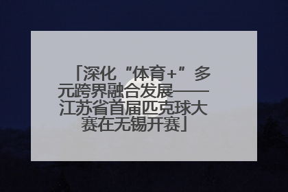 深化“体育+”多元跨界融合发展——江苏省首届匹克球大赛在无锡开赛